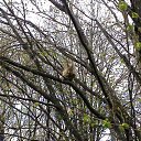 ���� ������, �����-���������, 70 ��� - ��������� 21 ������� 2014 � ������ �����