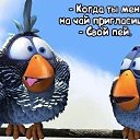 ���� �������, ������ - ��������� 13 ������ 2014 � ������ ������ ��������
