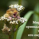 ���� �����, �������, 50 ��� - ��������� 16 ������ 2014 � ������ ���� ����������