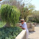 ���� ���������, ������, 54 ���� - ��������� 20 ������� 2014