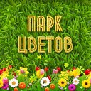 ���� ��������, ���� - ��������� 28 ����� 2014 � ������ ���� �����������