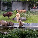  ,  , 23  -  17  2014    