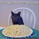 ���� ����, ������, 53 ���� - ��������� 25 ��� 2014 � ������ ������ ��������