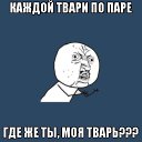 ���� ���������, ���������, 49 ��� - ��������� 25 ��� 2014 � ������ ������ ��������