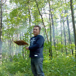 ��������, ������