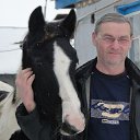 ��� ������-��� ���.