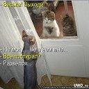 ���� �����, ����, 41 ��� - ��������� 18 ���� 2014 � ������ ������ ��������