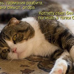 ���� ������, ������, 50 ��� - ��������� 16 ����� 2014