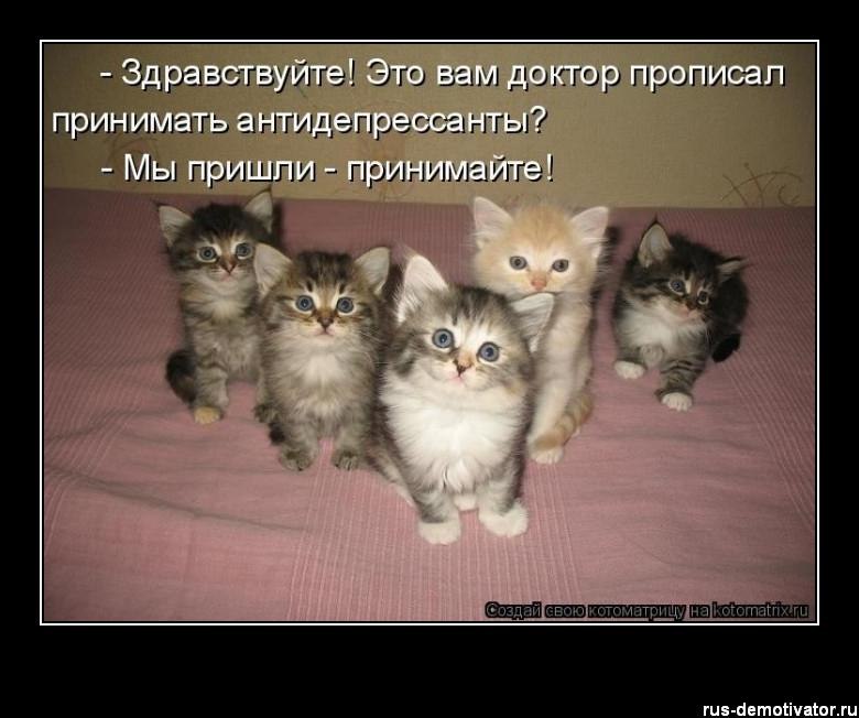 �������������� �� ���: <a href=