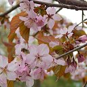 ���� ����, �����-���������, 57 ��� - ��������� 1 ��� 2014 � ������ �� �����