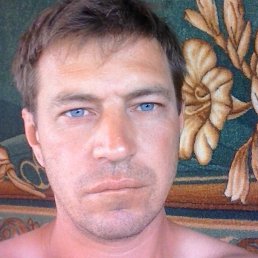 Dmitry, ������, 51 ���
