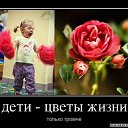 ���� ���������, �����, 52 ���� - ��������� 11 ���� 2014