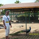 ���� �����, �����, 53 ���� - ��������� 12 ��� 2014