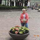 ���� �������, ��������� - ��������� 9 ���� 2014 � ������ ���� ����������