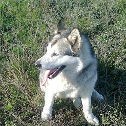 ���� ����, ��������, 59 ��� - ��������� 17 ���� 2014