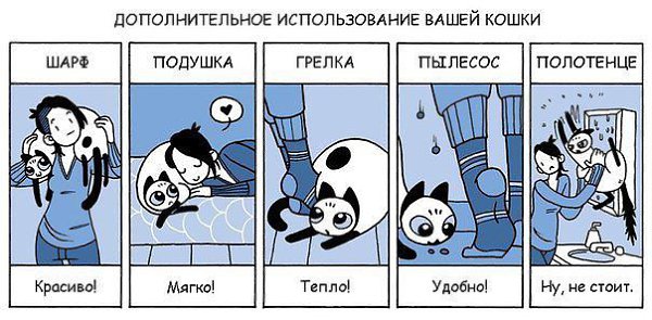  - 11  2014  13:41
