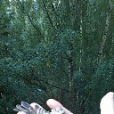 �������� ������))). �� ������� ���� ����������
