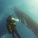 ���� ������, �����-���������, 37 ��� - ��������� 26 ������ 2014 � ������ ��������� ������