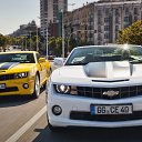 ���� ��������, �����-���������, 35 ��� - ��������� 25 ������ 2014 � ������ ������ ��������