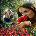 ���� �������, ������� - ��������� 7 ������� 2014 � ������ ������ ��������