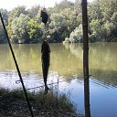 ���� ��������, �������, 57 ��� - ��������� 19 ������� 2014