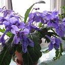 ���� �����, ����� - ��������� 17 ���� 2014 � ������ ������ ��������