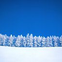 ���� �������, ���������, 61 ��� - ��������� 29 ����� 2014 � ������ ���� ����������