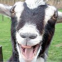 ���� Vlad, �������, 47 ��� - ��������� 15 ������ 2014 � ������ ���� ����������