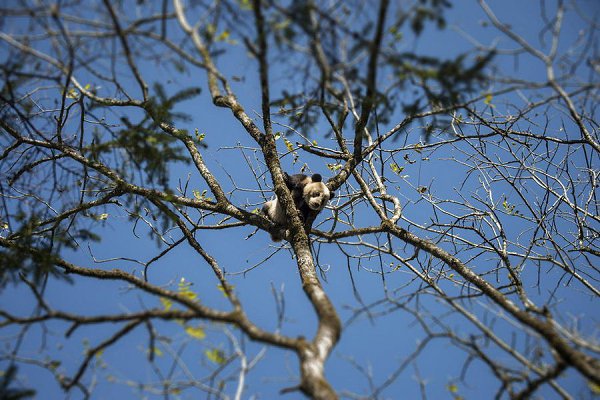 �����-����� ������ �����.������� �� PBS � National Geographic Television ������ � ���������� ��� ... - 11