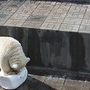 ���� �������, ���������� - ��������� 31 ���� 2014 � ������ �������������� ������� 23.07.2014�