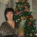 ���� �������, ������ - ��������� 27 ��� 2014 � ������ ���� ����������