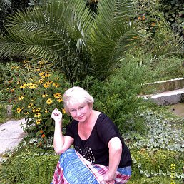 ���� �������, ������������, 66 ��� - ��������� 5 ��� 2014