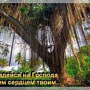 ���� ����, ���� - ��������� 16 ���� 2014 � ������ ������ ��������