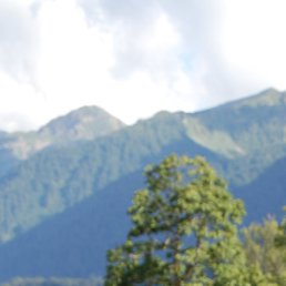 ����, �������, 42 ����