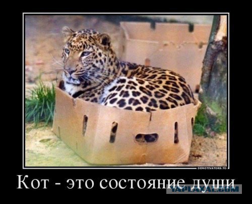 /zev/null - 14  2014  21:49