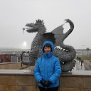 ��������� � �������� �� ������� ���� ����������