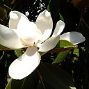 ���� I�na, ������ - ��������� 14 ���� 2014 � ������ ���� 2014 �. ����� ��������