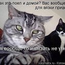 ���� �������, ������, 59 ��� - ��������� 2 ���� 2014 � ������ ������ ��������