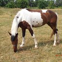 ...� ��� �� ������� ��������������� ������: �����... �� ������� ���������ʻ