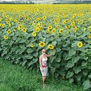 ���� ������, ������ �������� - ��������� 12 ���� 2014 � ������ ���� ����������