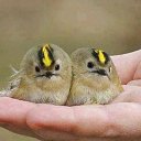 ���� ������, ����������, 64 ���� - ��������� 8 ���� 2014 � ������ ���� ����������