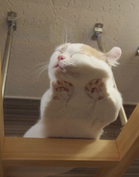  :3