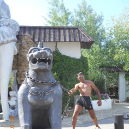 ���� �������, �����������, 51 ��� - ��������� 6 ������ 2014