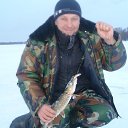 ���� ������, ���������, 54 ���� - ��������� 2 ��� 2014 � ������ ���� ����������