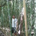 ���� ����, ����, 48 ��� - ��������� 24 ��� 2014 � ������ ������ ��������