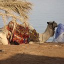 ���� R, ���� - ��������� 1 ������ 2014 � ������ ���� ����������