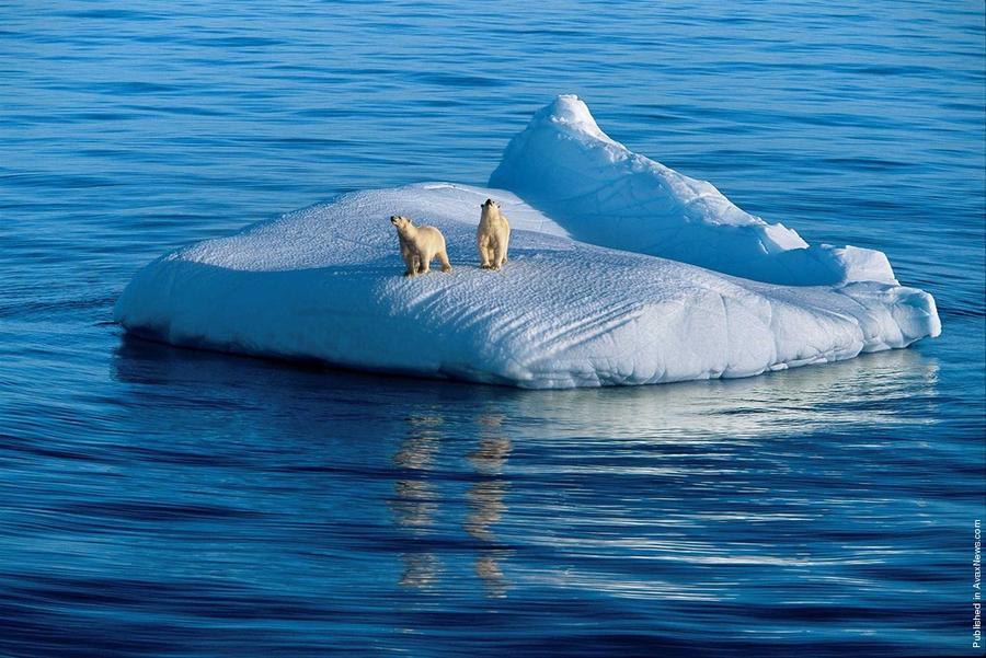     .  (Paul Nicklen)    National Geographic  ... - 24