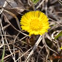 ���� �����, ���������, 61 ��� - ��������� 7 ������ 2014 � ������ ������ ��������