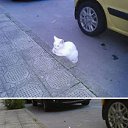 ���� �����, ������, 46 ��� - ��������� 5 ������� 2014 � ������ ������ ��������