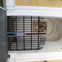 �������. ������ �� ������� ���� ����������